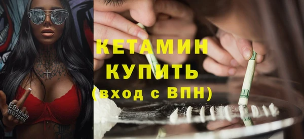 шишки Аркадак