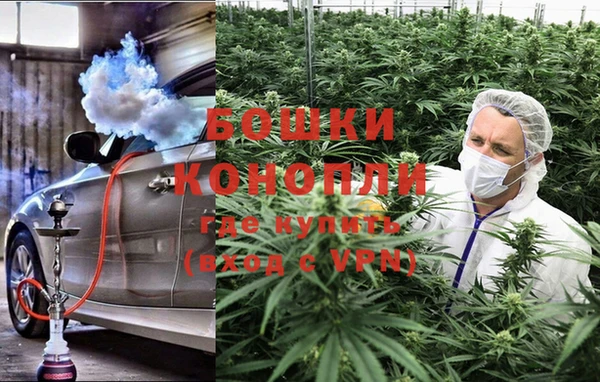 шишки Армянск