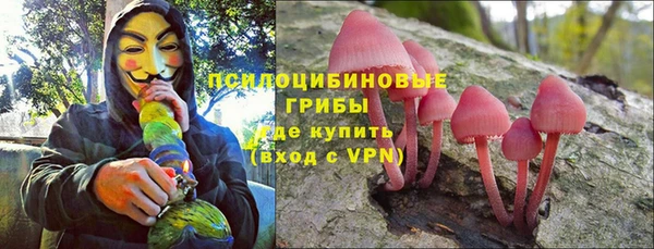 шишки Аркадак