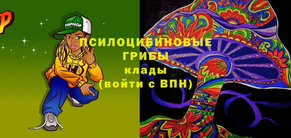 шишки Аркадак
