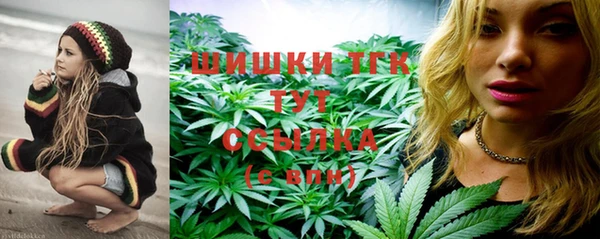 шишки Аркадак
