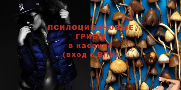 шишки Армянск
