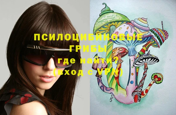 шишки Армянск